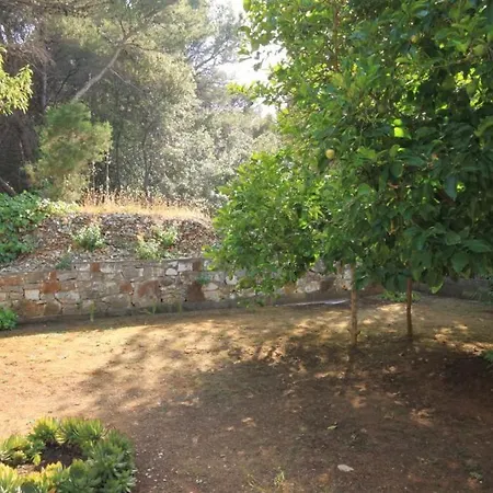 Apartment By The Sea Veli Rat, Dugi Otok - 8129